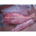 Sea Frozen Red Snapper